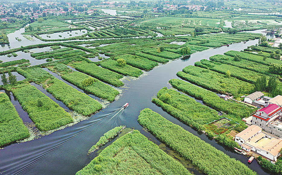 China to enhance global ties on green transition